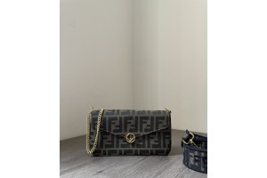 Fendi Wallet On Chain Mini-Bag